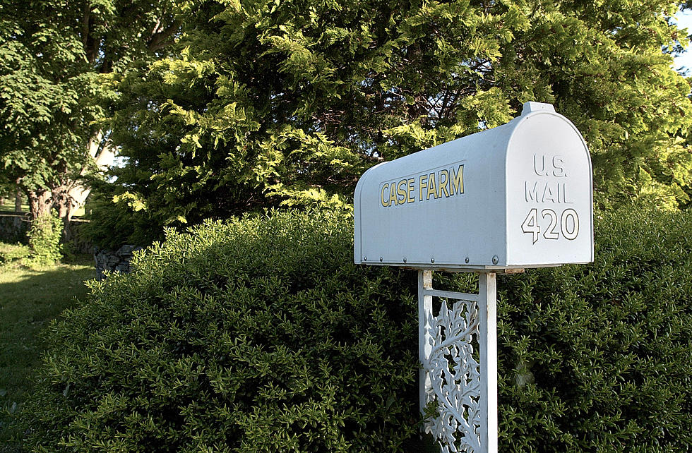 Why Dryer Sheets Are Found in Louisiana Mailboxes During Summer Months