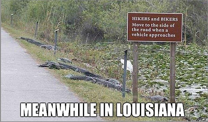 I Hate it Here Louisiana Sarcastic Funny LA Novelty State