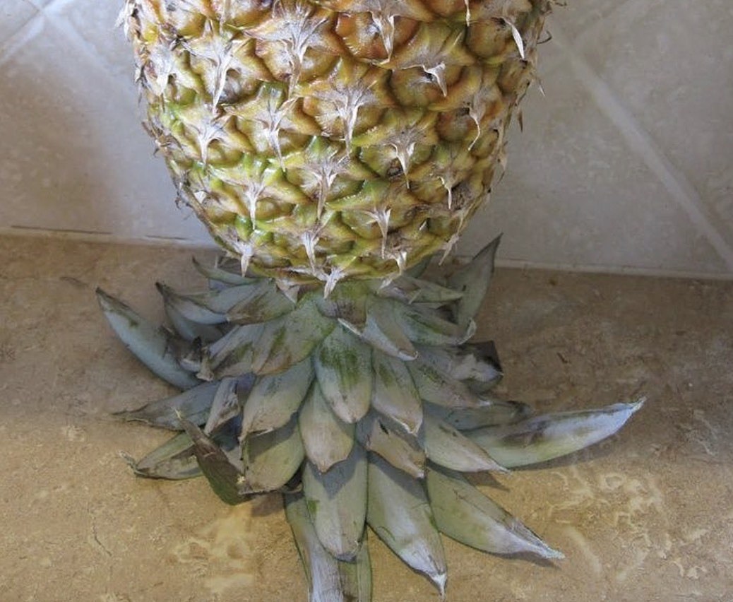 People in Lafayette Are Doing Crazy Things With Pineapples