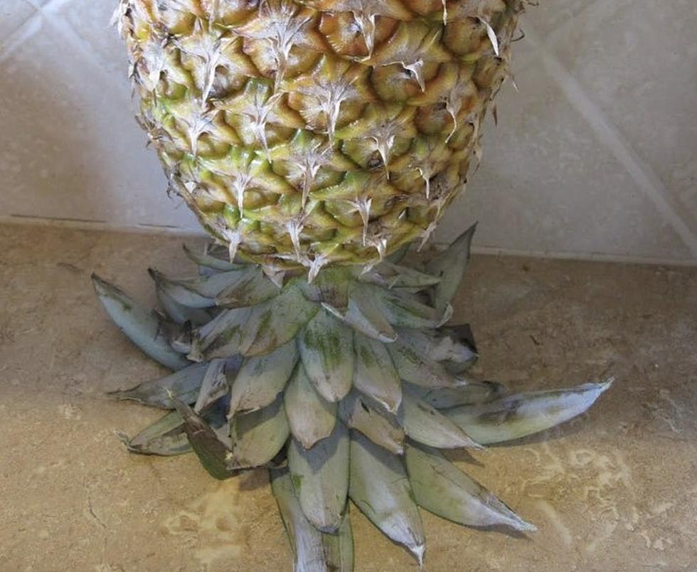Why You Should Flip Your Pineapple Over Prior to Cutting It