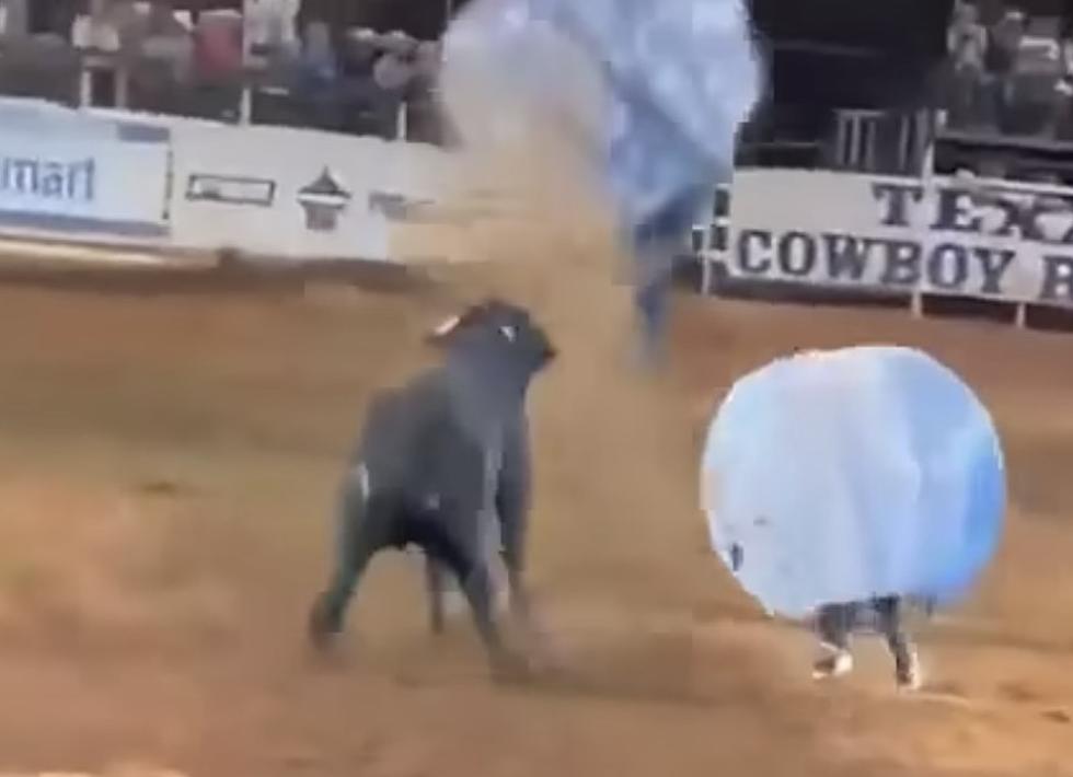 Shocking Video Shows Enraged Bull Sends Participants Flying in Bubble Balls