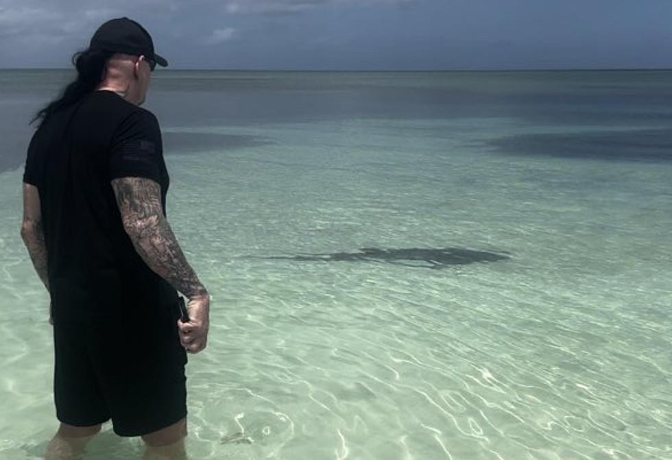 WWE Legend &#8216;The Undertaker&#8217; Protects Wife From Shark [VIDEO]