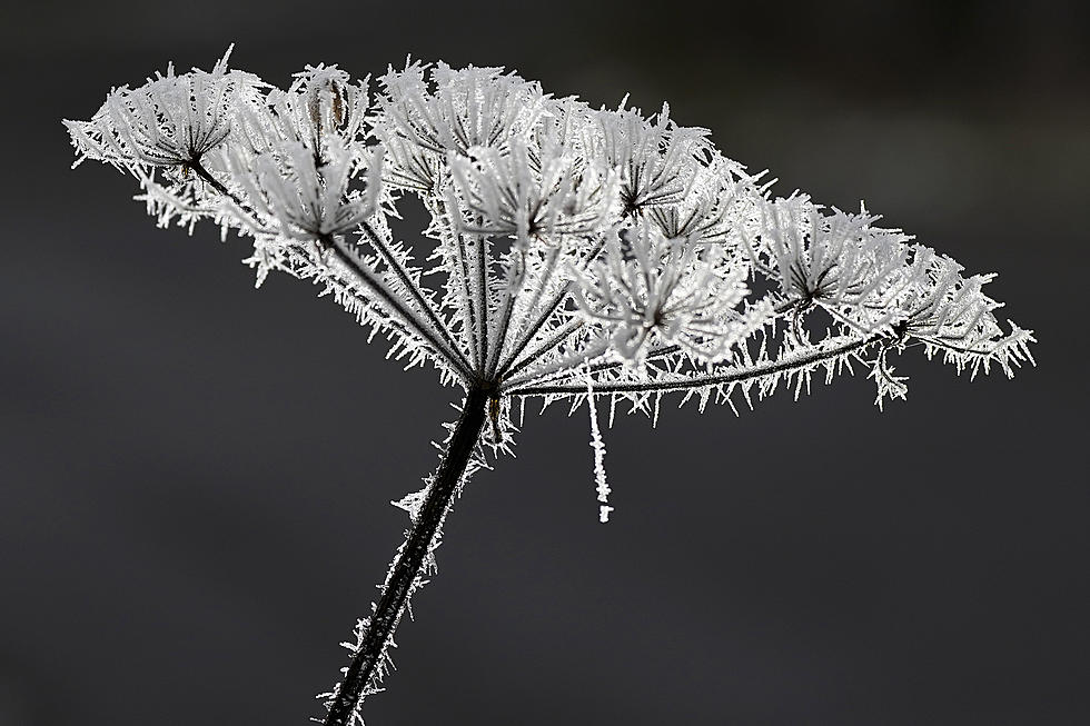 Farmer’s Almanac Predicts First Frost Dates for Cities in South Louisiana