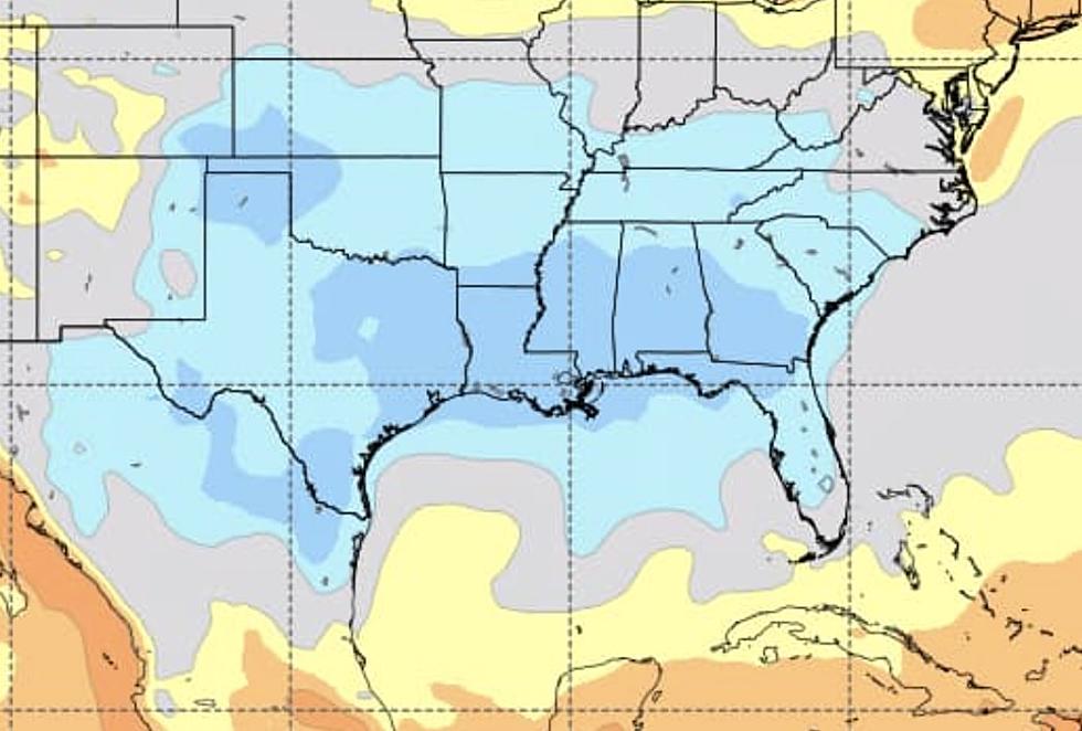 Should We Expect A Cold and Wet Winter in Louisiana?