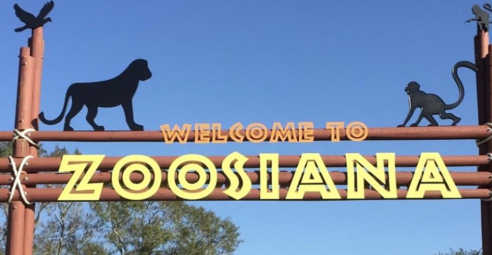 Zoosiana Announces Closures Due to Extreme Heat in Acadiana