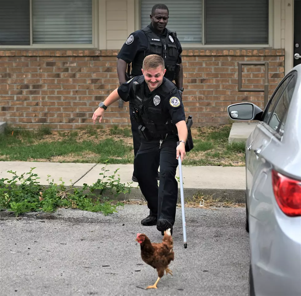 Jonesboro Police Department 1