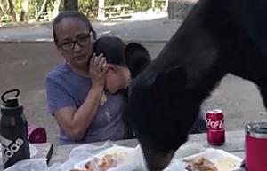 Mother Shields Child as Black Bear Eats Food From Picnic Table