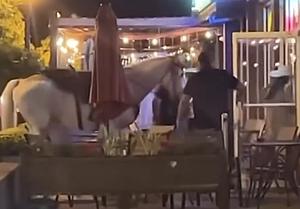 Watch as A Horse Enters a Bar in Dallas, Texas