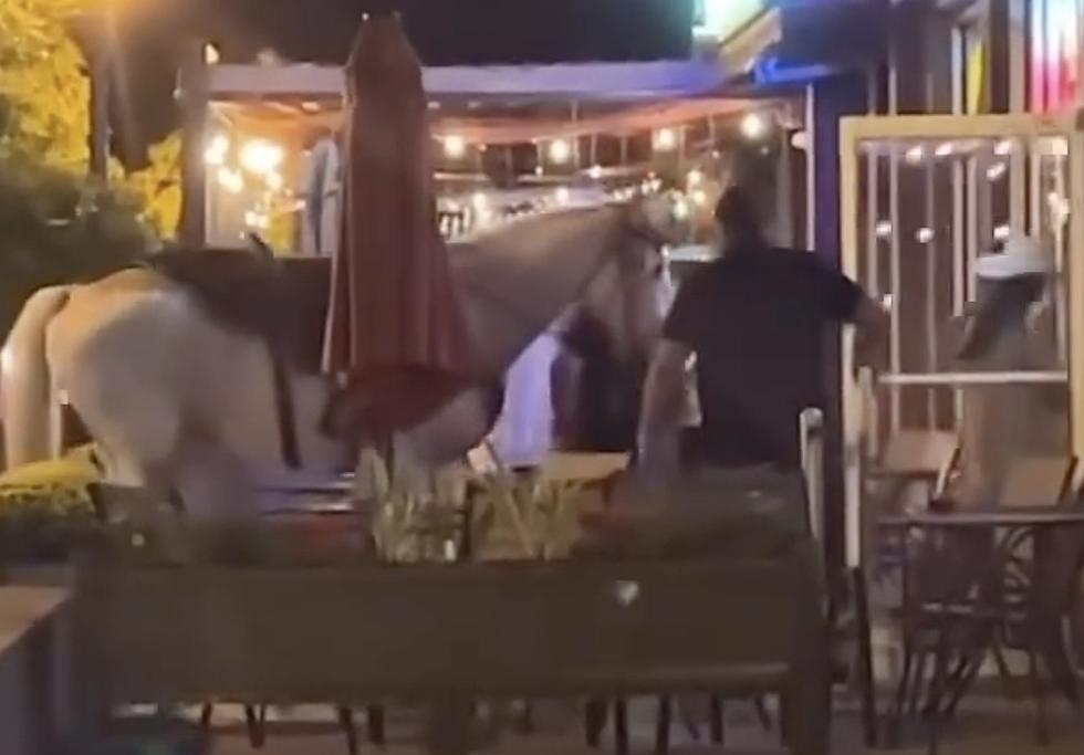 Watch as A Horse Enters a Bar in Dallas, Texas