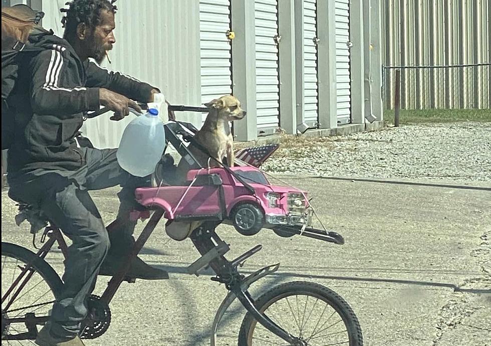 Man in Opelousas, Louisiana Constructs Carriage for Dog on His Bike