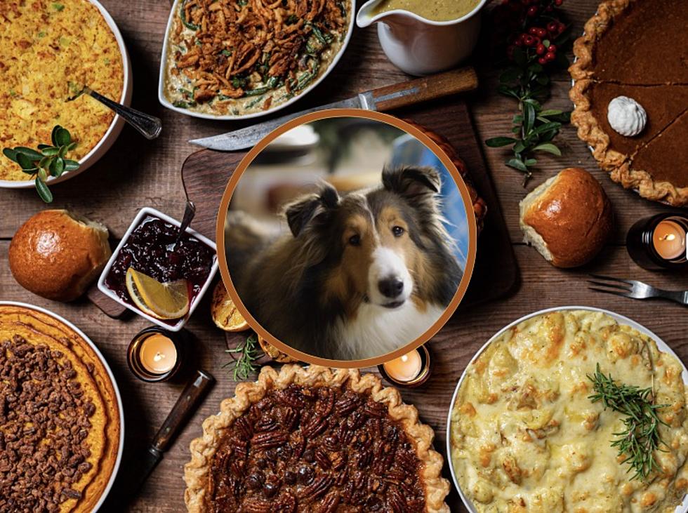 Thanksgiving Day Foods That Are Dangerous for Pets