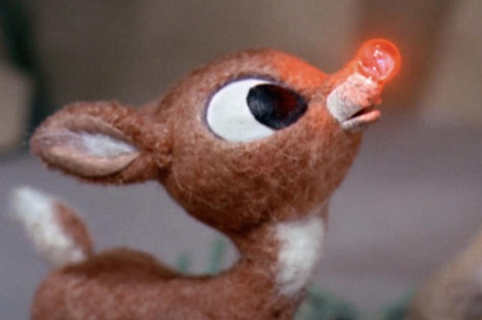 Scientists Explain Why ‘Rudolph’ Was a Female Deer in Christmas Classic