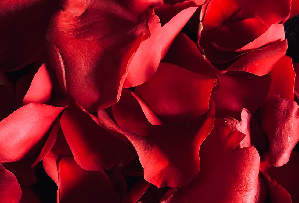 Louisiana, Here Are 7 Romantic Spots in Our Backyard for Valentine’s Day