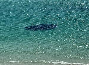 Beachgoer at Popular Louisiana Destination Spots ‘Dark Spot’...