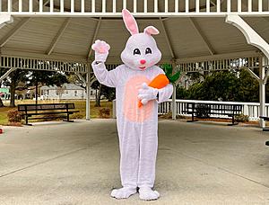 Louisiana Moms Here’s Where to Get Photos with the Easter Bunny...