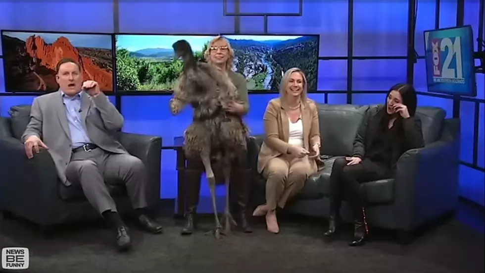 Louisiana, These News Bloopers Will Give You a Laugh Today