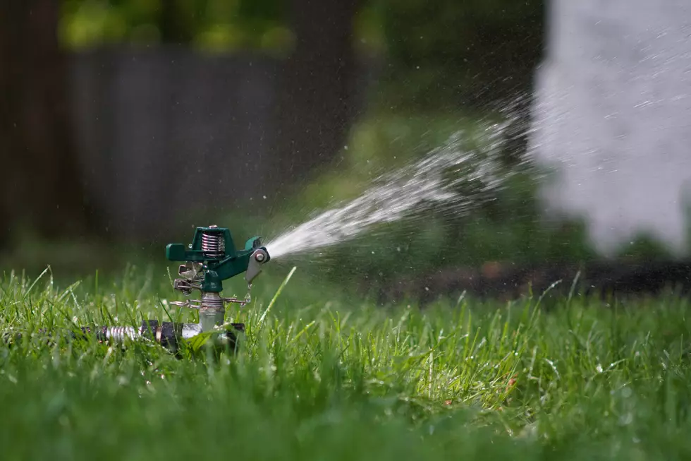 Lafayette Utilities Systems Reminds Citizens When They Cannot Water Lawns