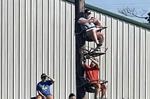 Louisiana Baseball Fans Use Deer Stands to Watch High School...