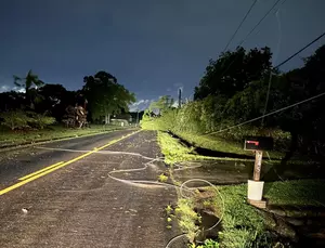 Extensive Damage Done to Power Lines on Vincent Road in Lafayette...