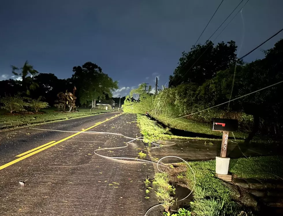 Damage Done to Power Lines on Vincent Road in Lafayette Parish 