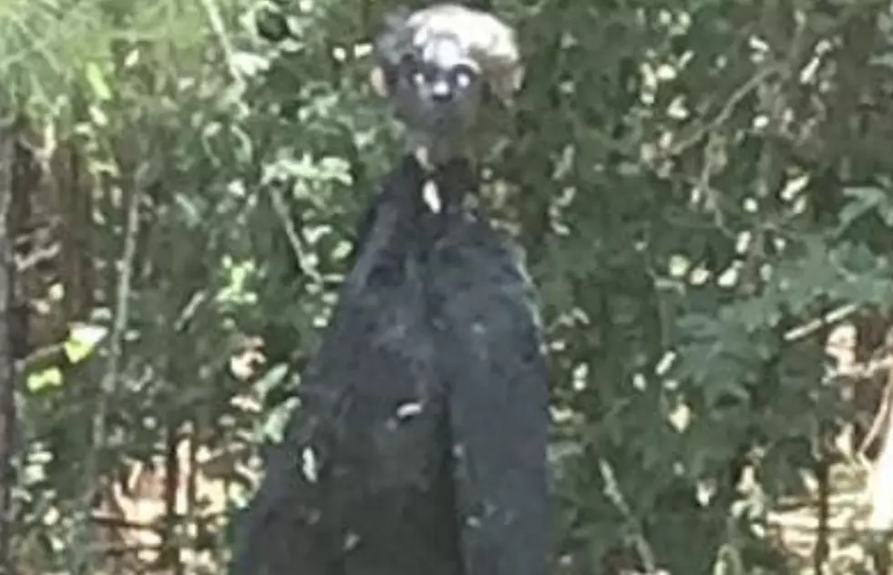 Mysterious ‘Creature’ Shows Up on Side of Road in South Louisiana