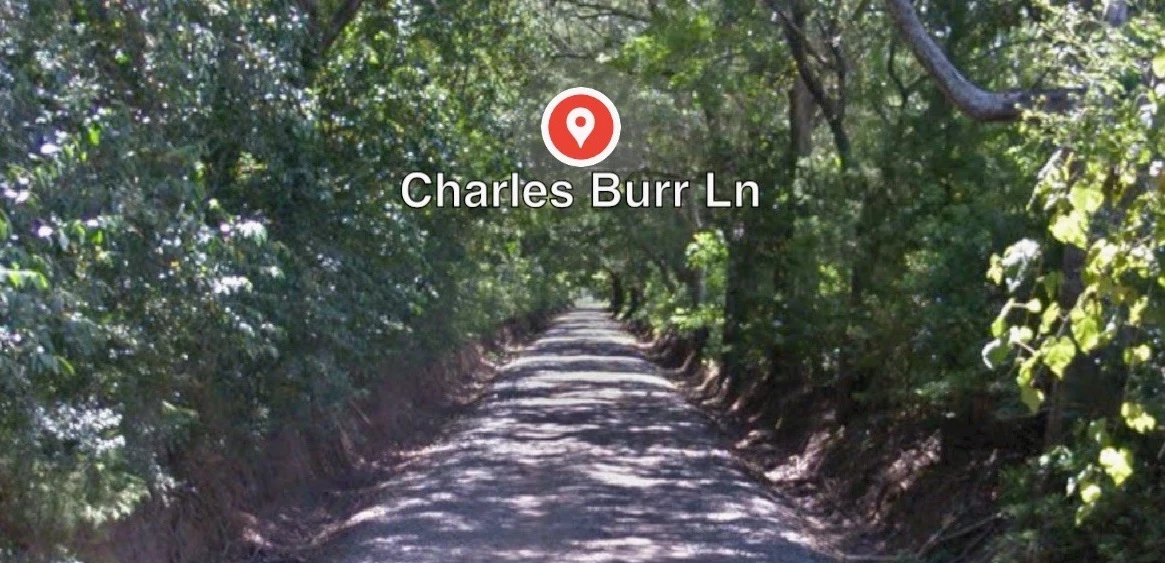 Charles Burr Lane in Opelousas