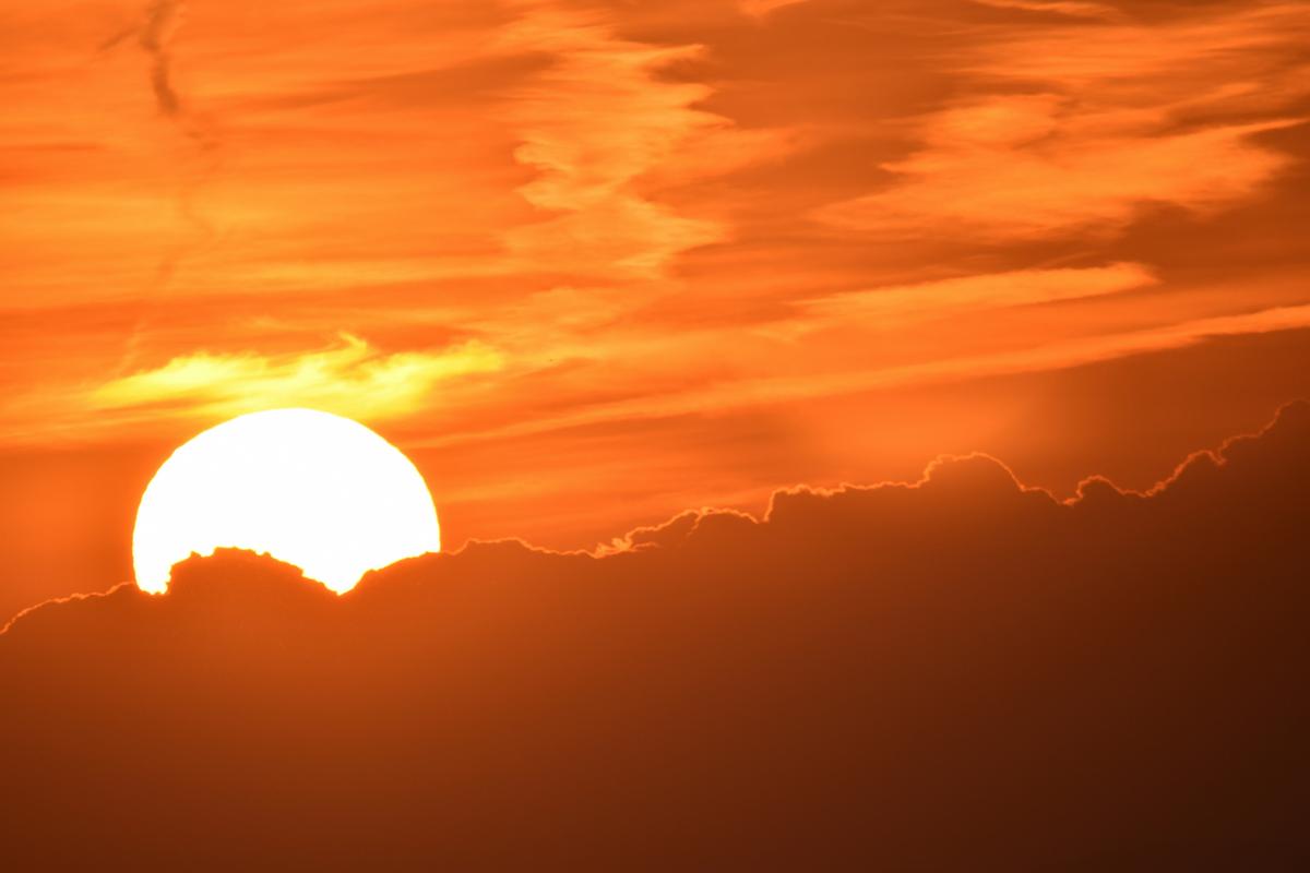 Extreme Temperatures in Louisiana Cook Hot Dogs Left Out in Sun
