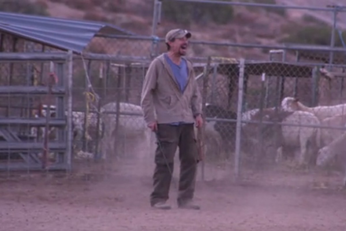 Davidl Roth Rancher David Lee Roth Shows Off His Herding Dogs in New Video