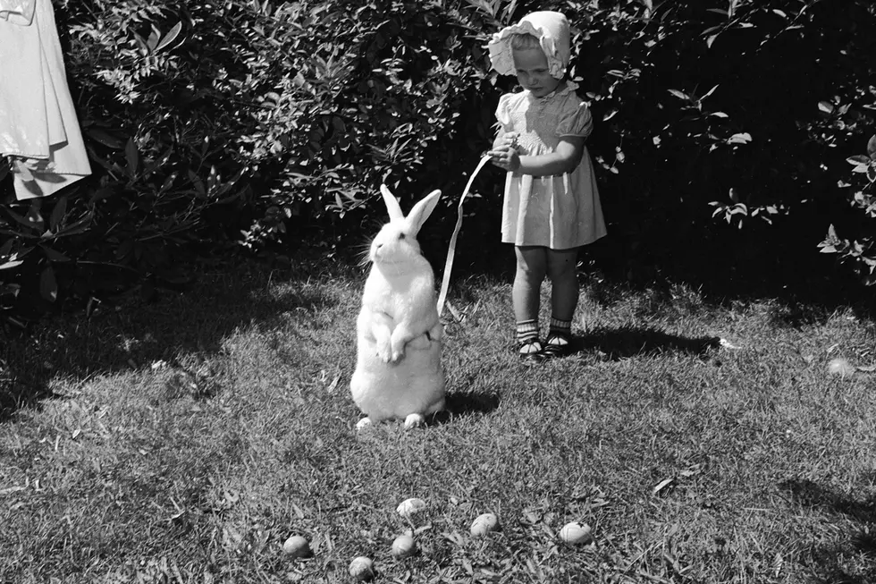 Easter Egg Hunt: Rock’s Best Hidden Tracks