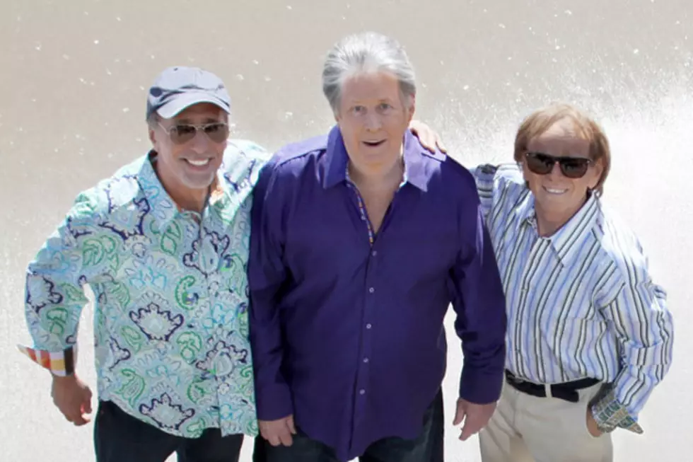 Brian Wilson To Hit The Road with Fellow Beach Boys