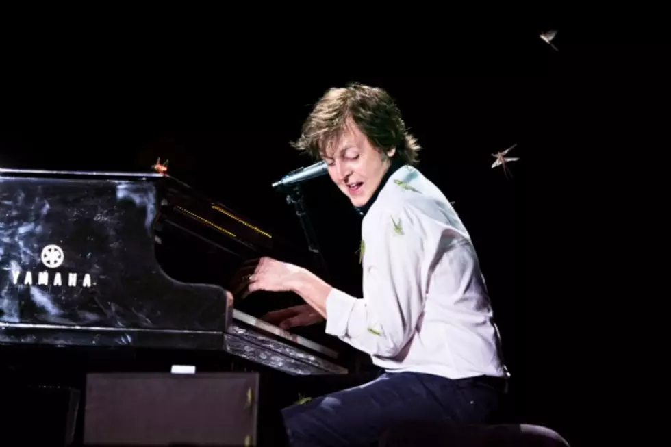Paul McCartney Gets Bugged Onstage &#8211; Pic of the Week