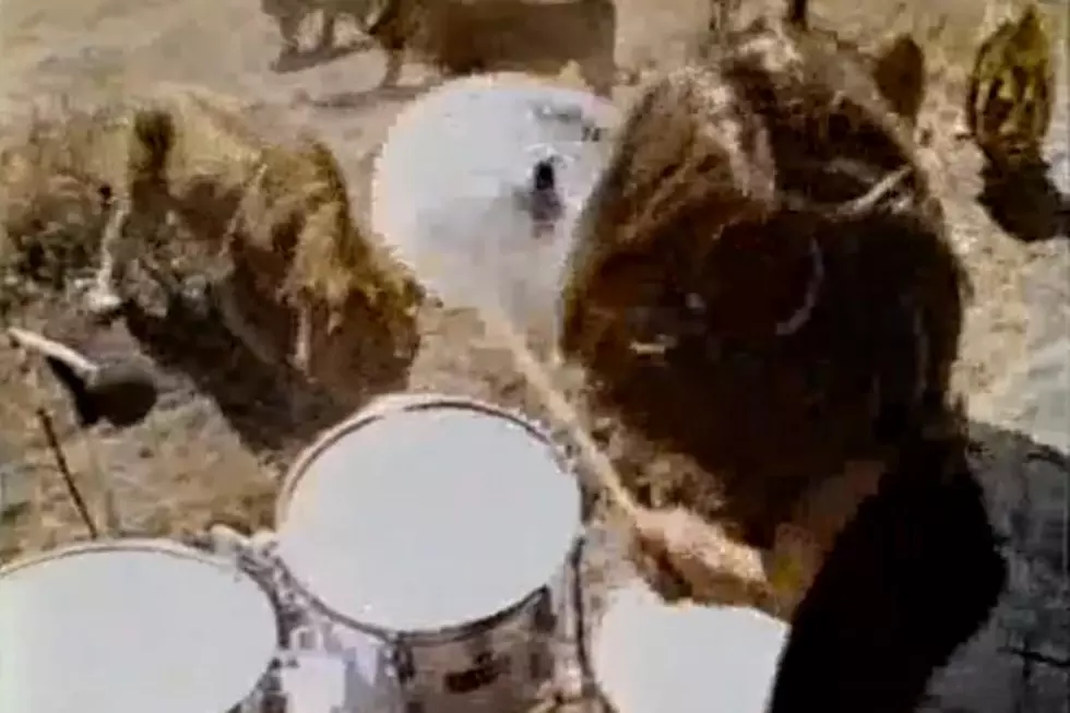 Stewart Copeland Plays in Front of Wild Lions: Best of YouTube