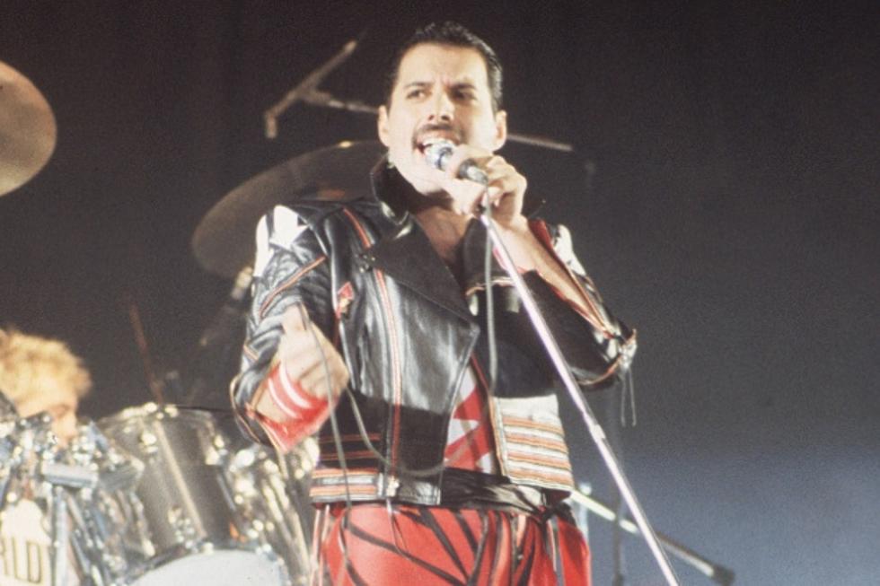 Rock Out With Freddie