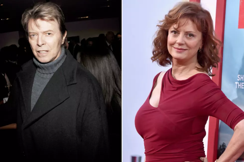 Susan Sarandon Had An Affair With David Bowie