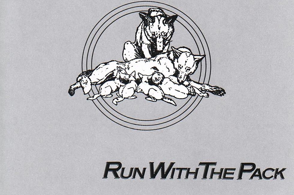 Why Bad Company Started to Lose Momentum on &#8216;Run With the Pack&#8217;