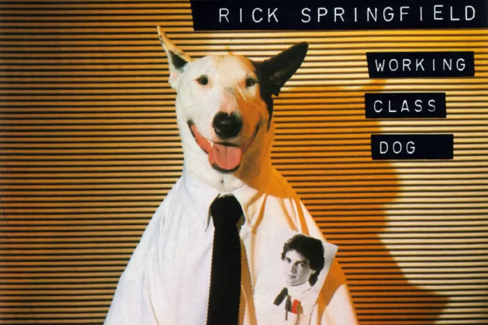 How Rick Springfield Broke Through With &#8216;Working Class Dog&#8217;