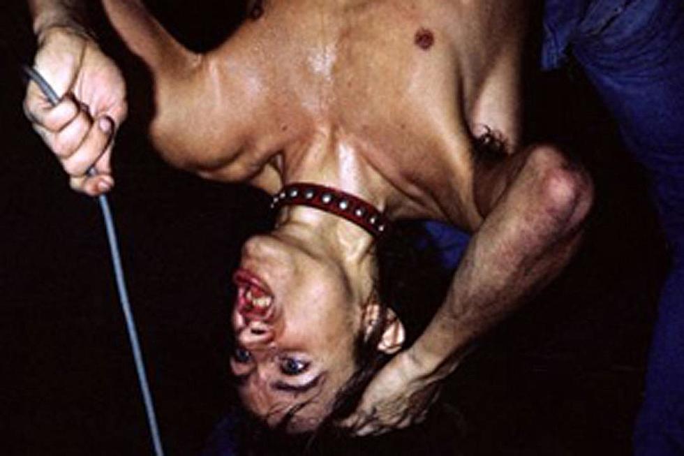 Iggy Pop Tells Stooges Story in New Book