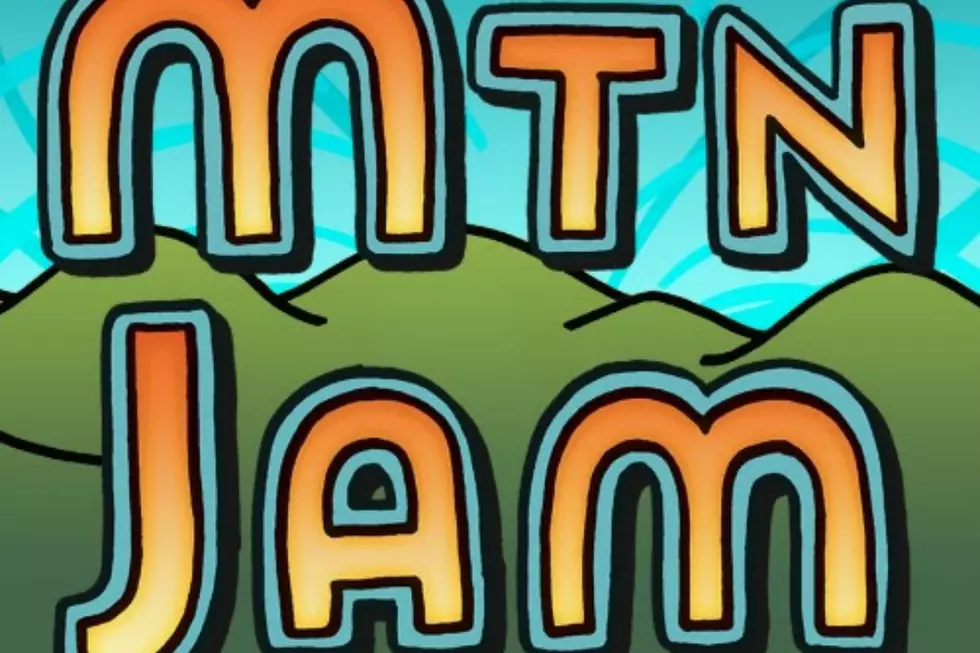 Mountain Jam 2016 to Stream Live Webcast