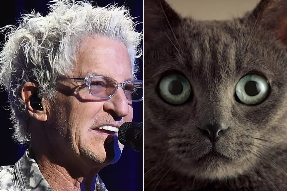 REO Speedwagon&#8217;s &#8216;Can&#8217;t Fight This Feeling&#8217; Used in New Cat Food Commercial