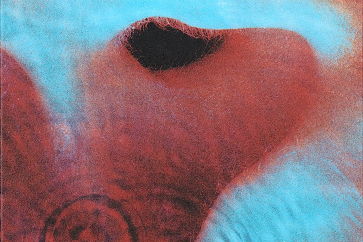 How Pink Floyd Found Their Collective Voice With 'Meddle'