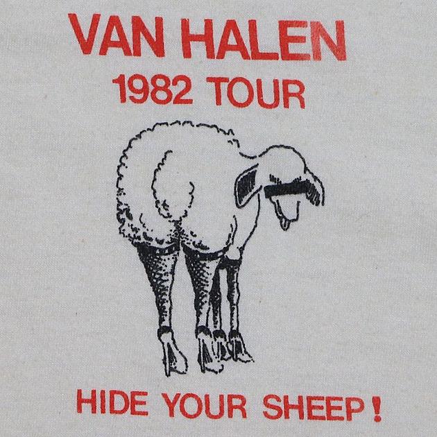 Why Van Halen Begrudgingly Returned for 1982 Tour