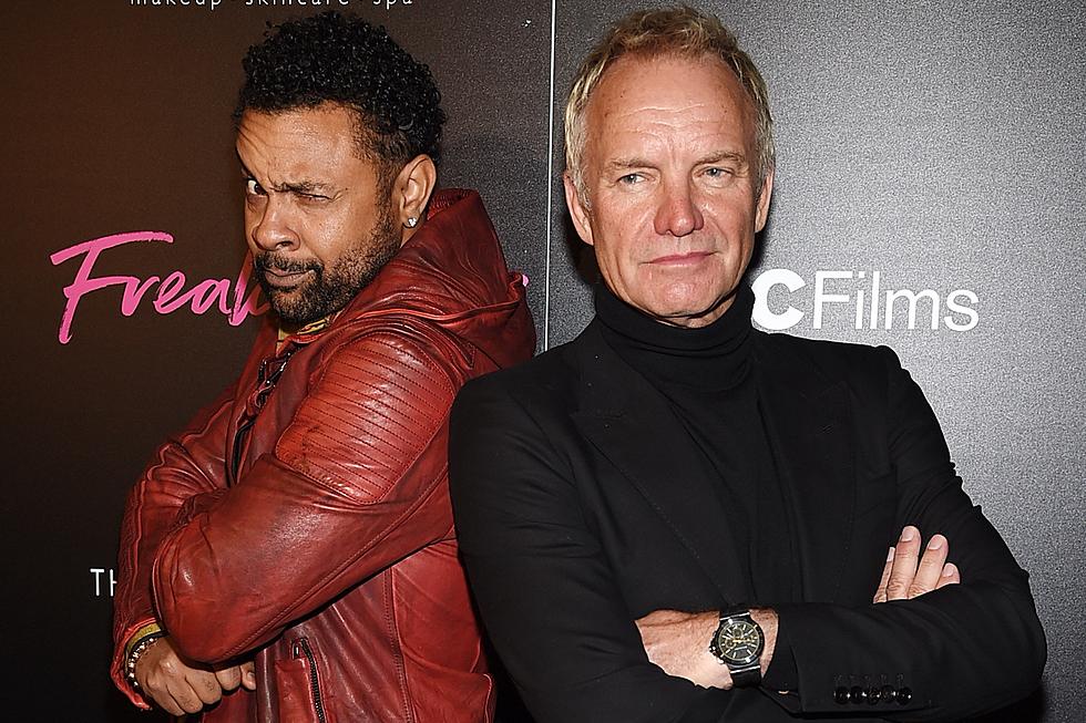 Sting and Shaggy Announce New Collaborative Album '44/876' 