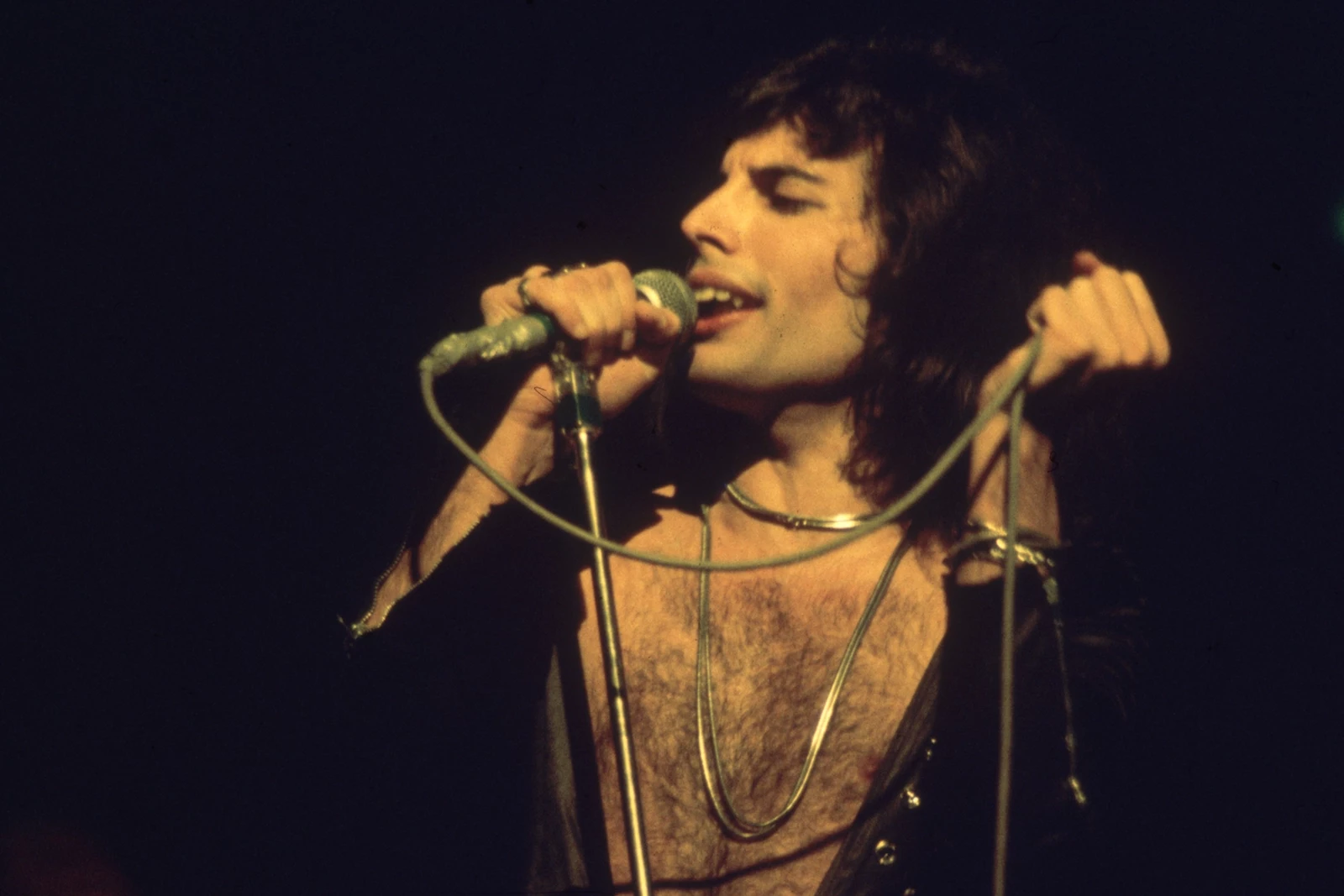 Freddie Mercury S Sexuality Remained A Mystery Even To Queen