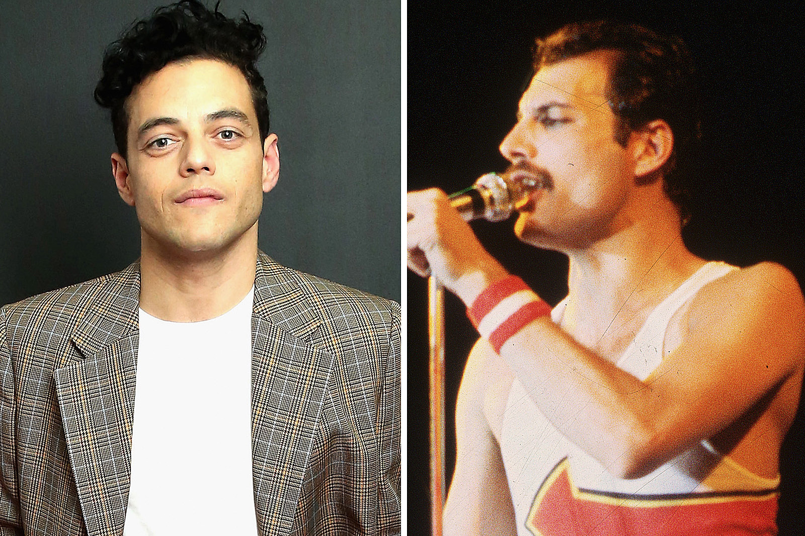 Download Rami Malek Queen Film Doesn T Ignore Freddie Mercury S Sexuality