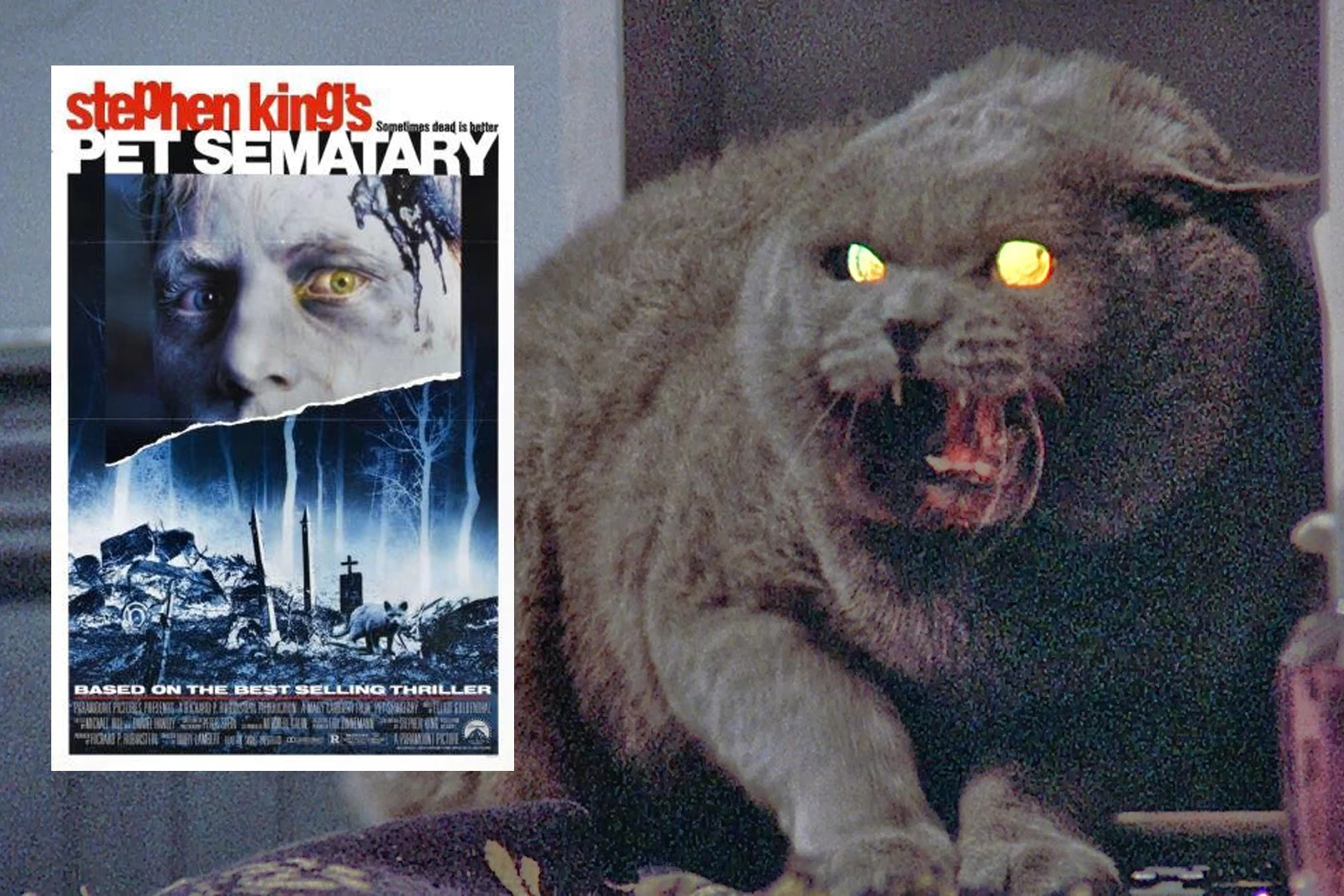 How Stephen King Scared Himself With Pet Sematary