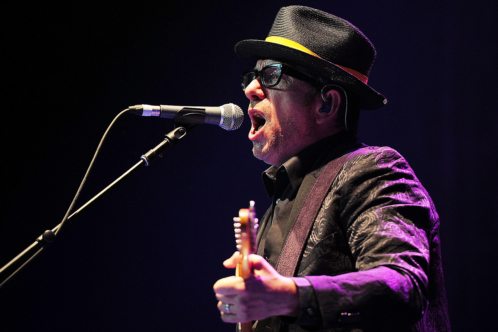Elvis Costello Thinks Rock Has Lost Its 'Roll'