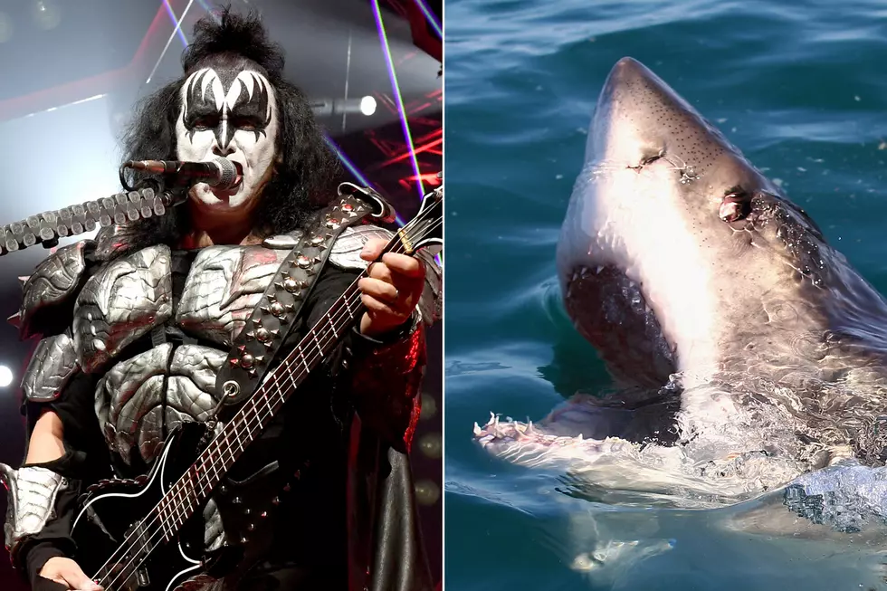 Kiss to Play Special Concert for Great White Sharks