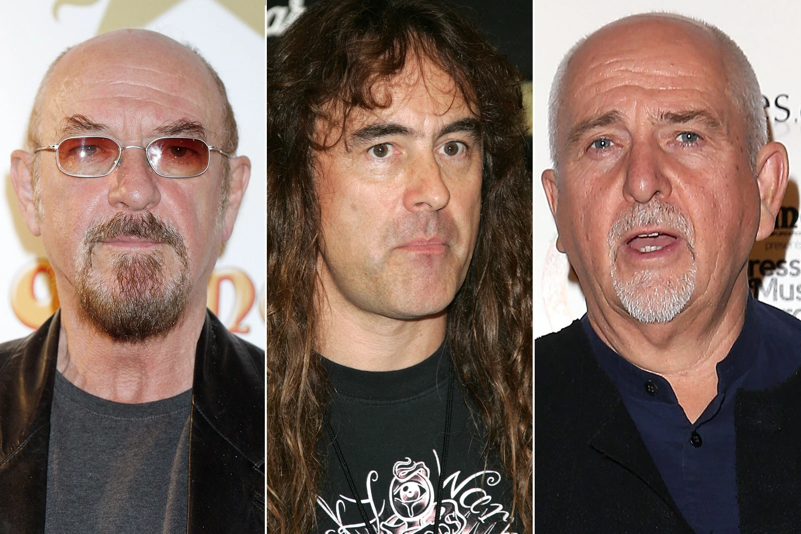 Why Steve Harris Avoided Ian Anderson and Peter Gabriel