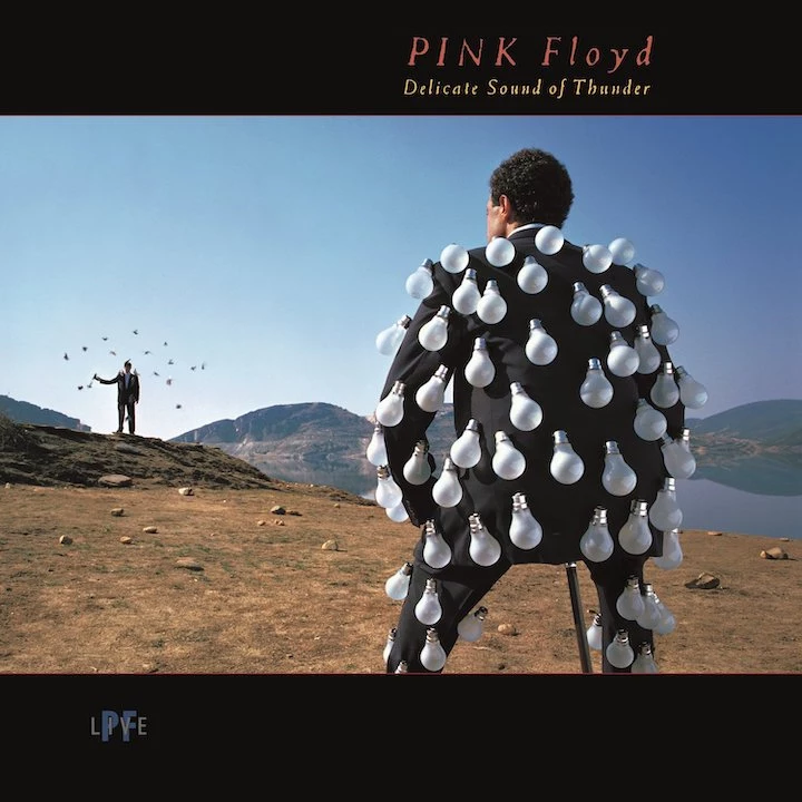 35 Years Ago: Pink Floyd Goes Live on 'Delicate Sound of