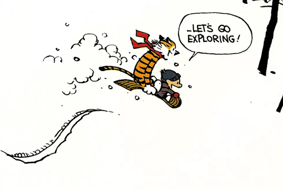 25 Years Ago: &#8216;Calvin and Hobbes&#8217; Says Goodbye